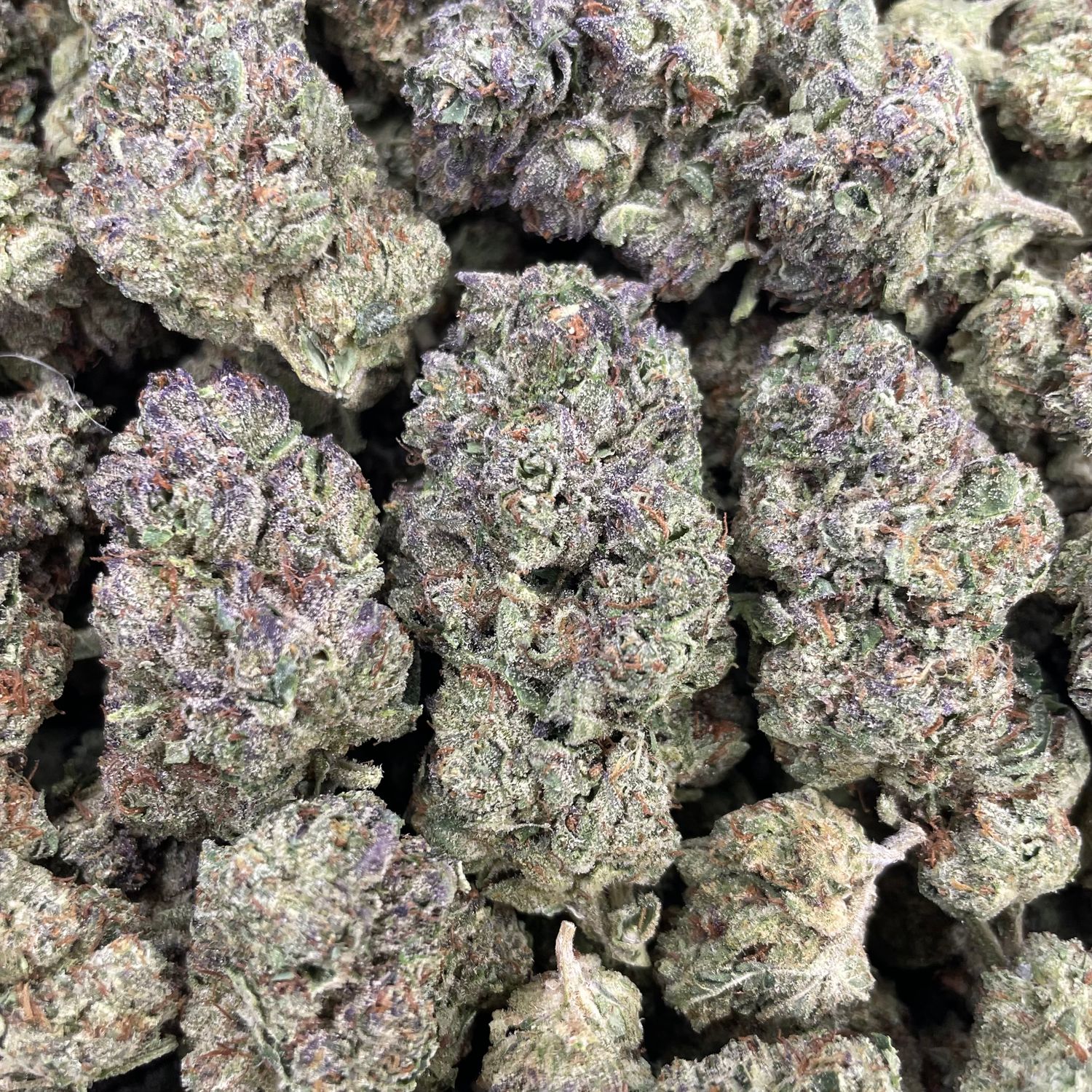 Italian Ice  (28G)