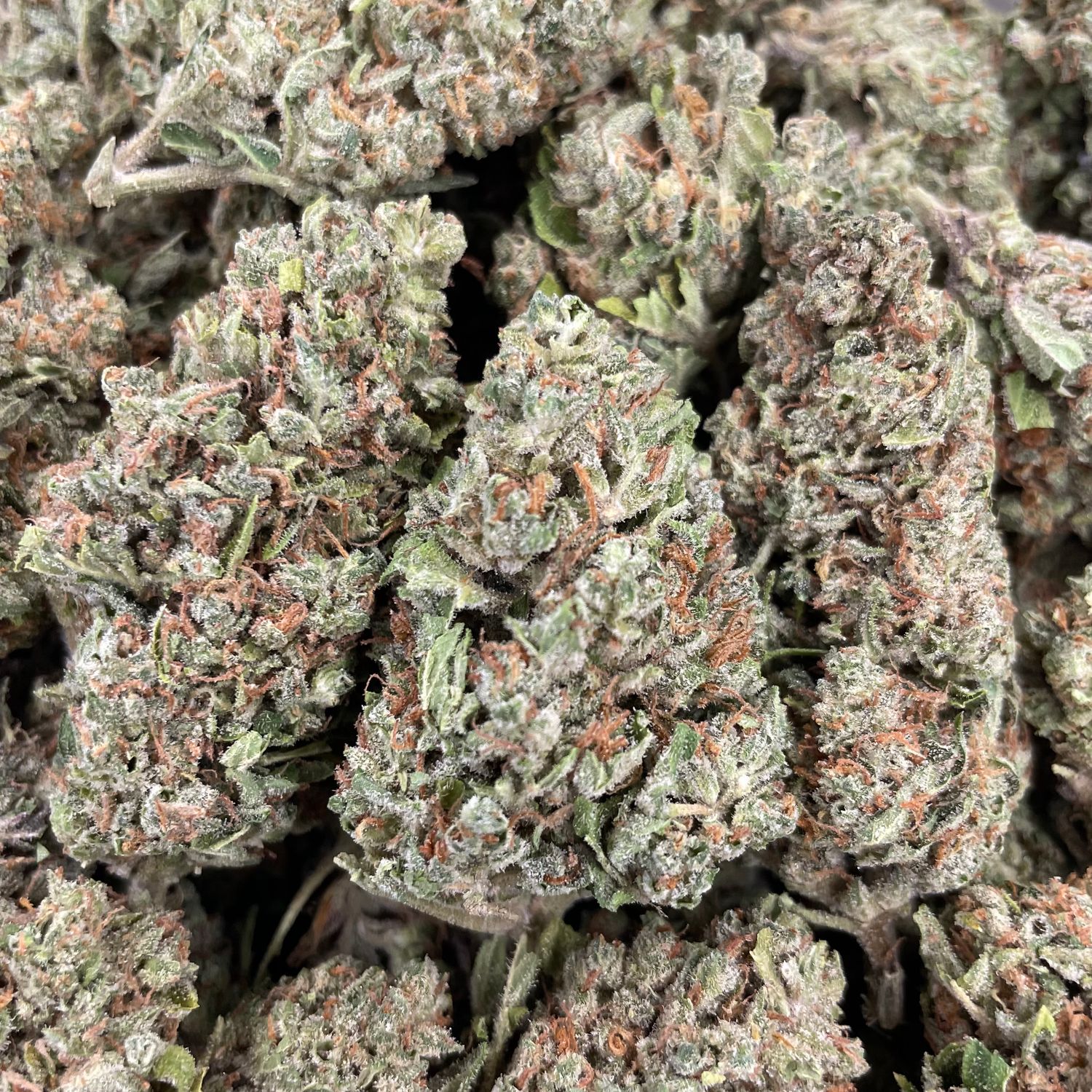 Space Lemons  (28G)