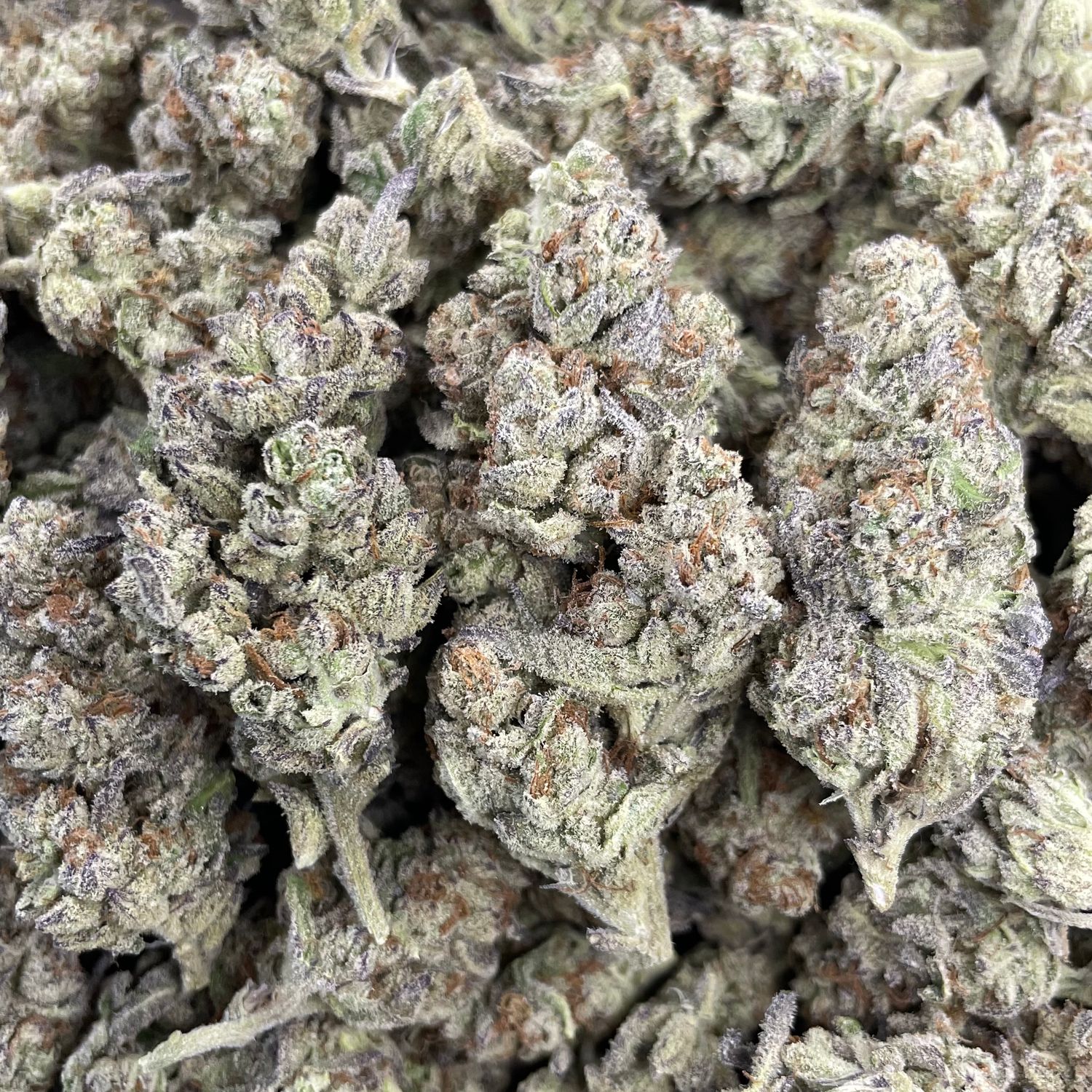 Dante’s Inferno (3.5G)
