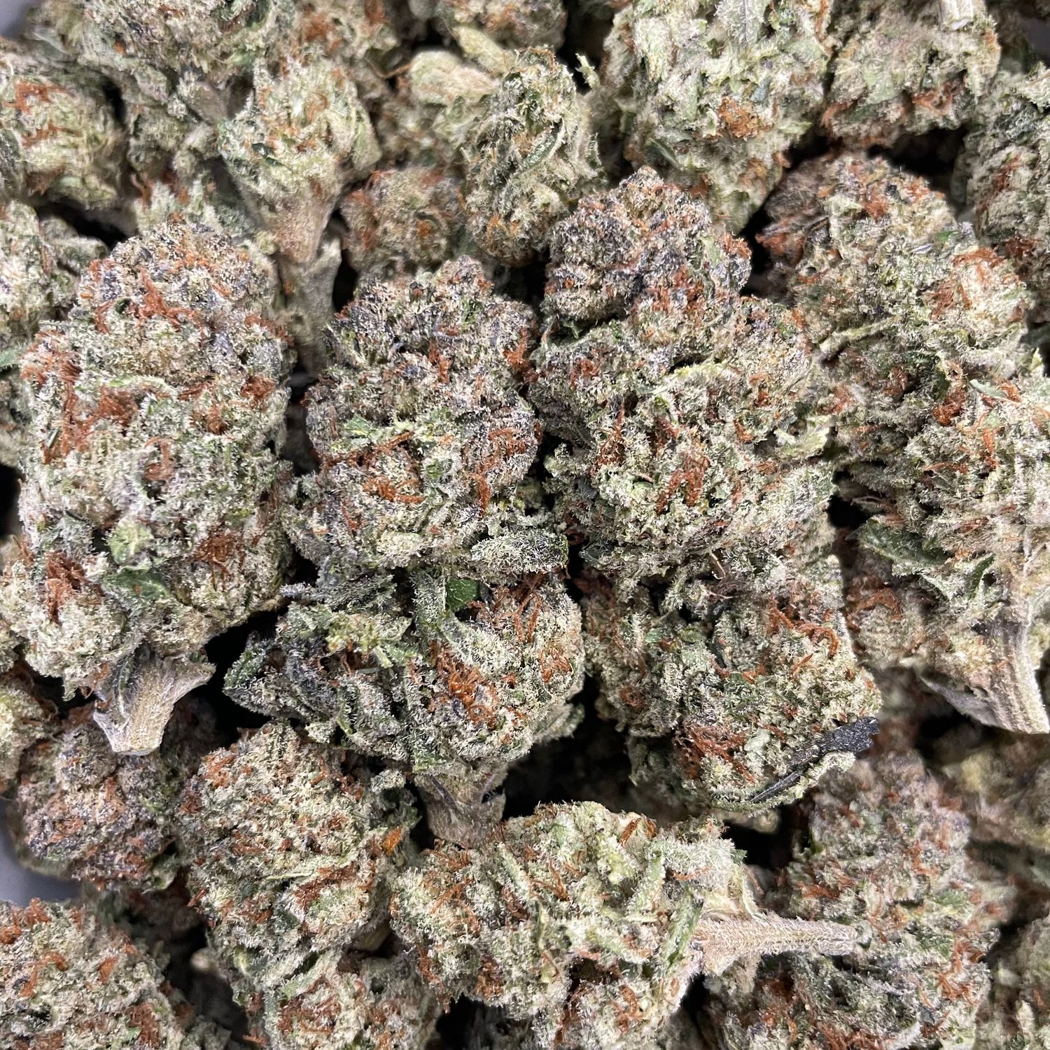 Lemoncello Smalls (3.5G)