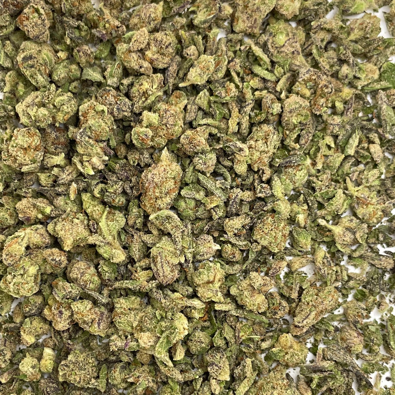 El Chivo Shake (7G)