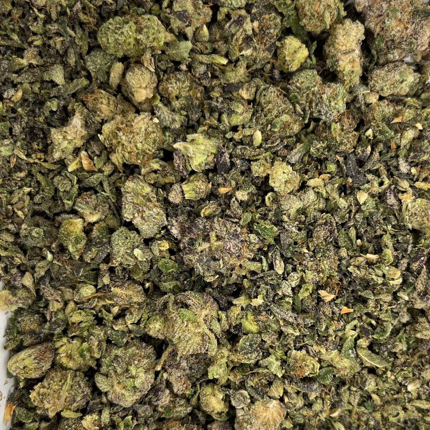 Dante's Inferno Shake (7G)