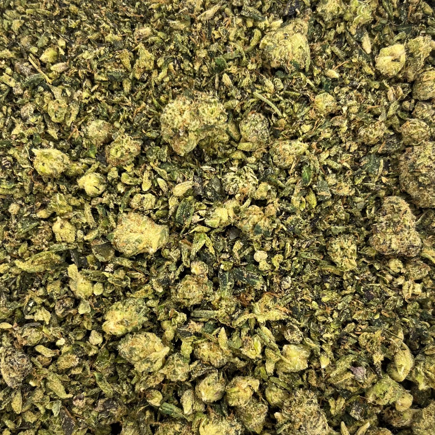 Lemon Cherry Sherb Shake (7G)