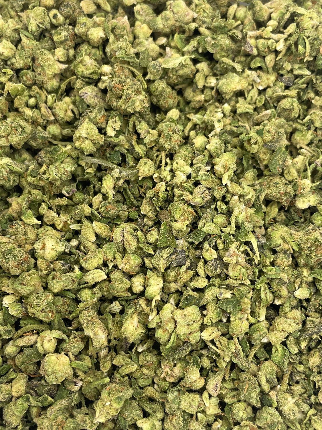 Lemoncello Shake (3.5G)