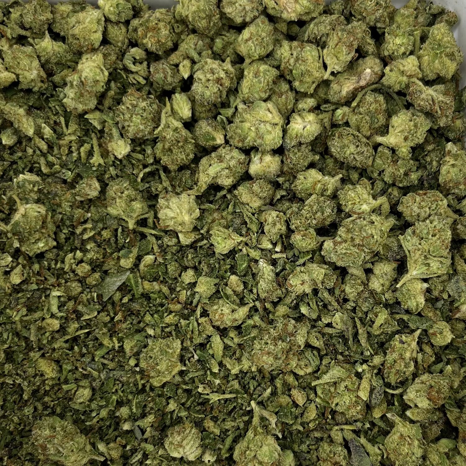 Italian Ice Shake (7G)