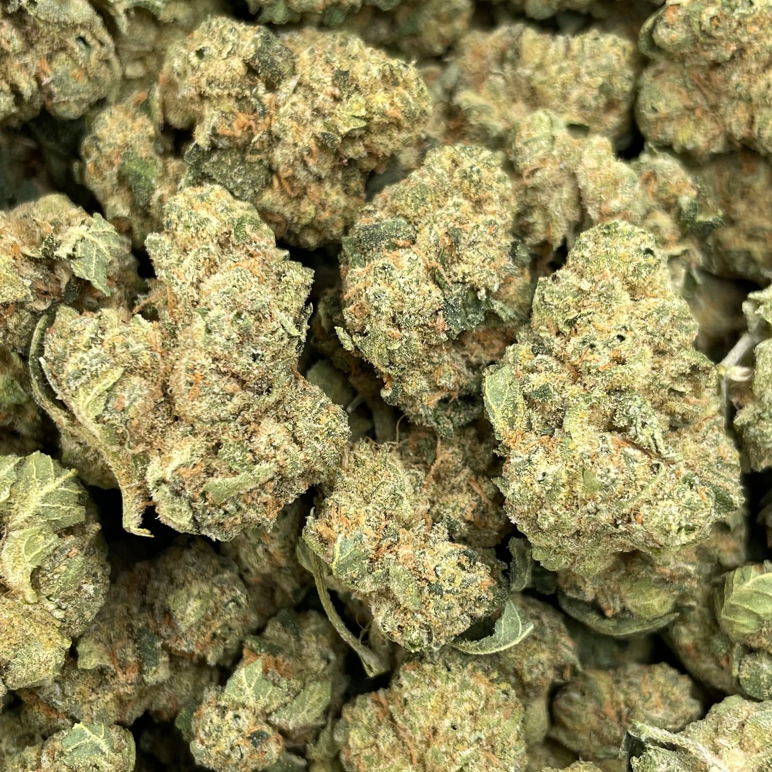 Double Runtz (28G)