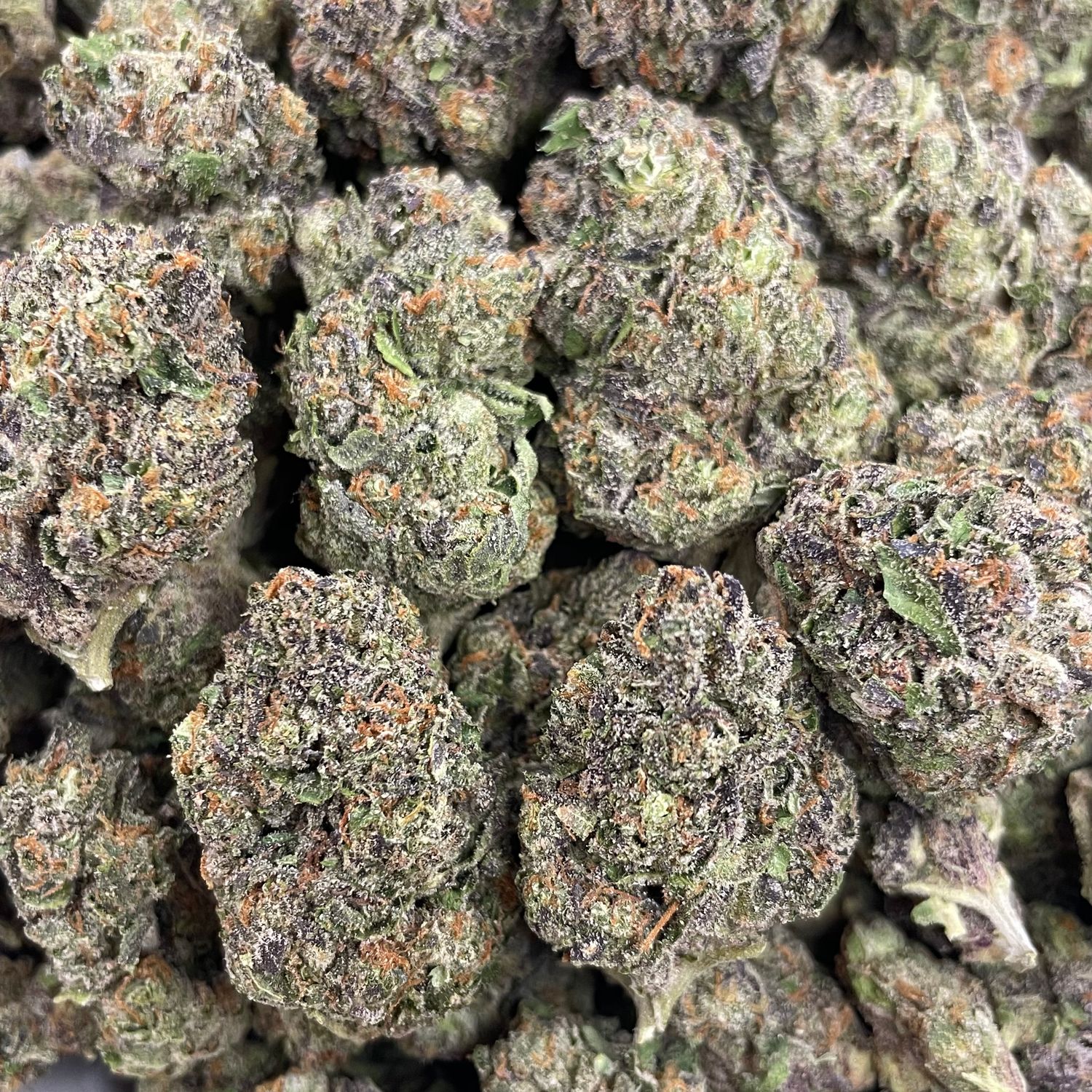 Double Runtz (3.5G)