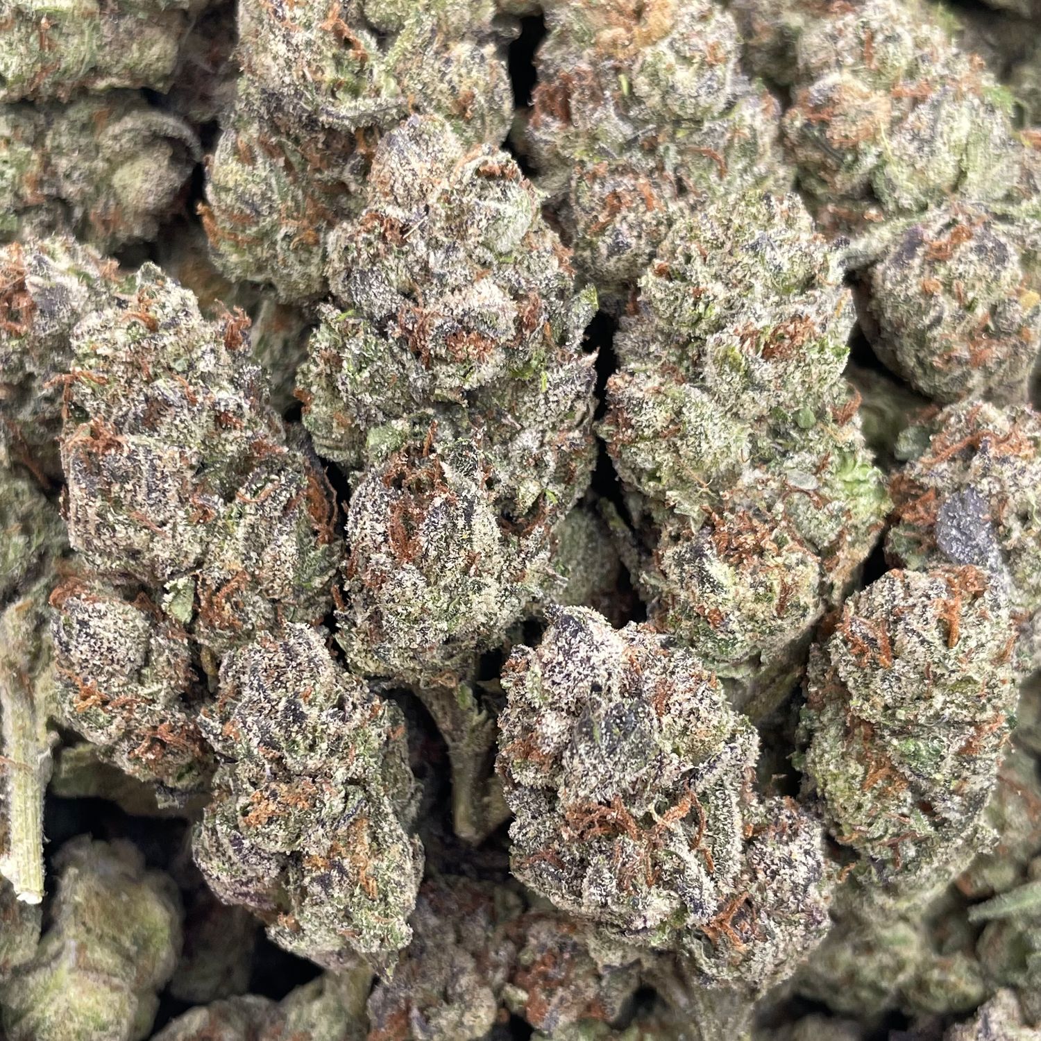 Lemon Cherry Mintz (28G)