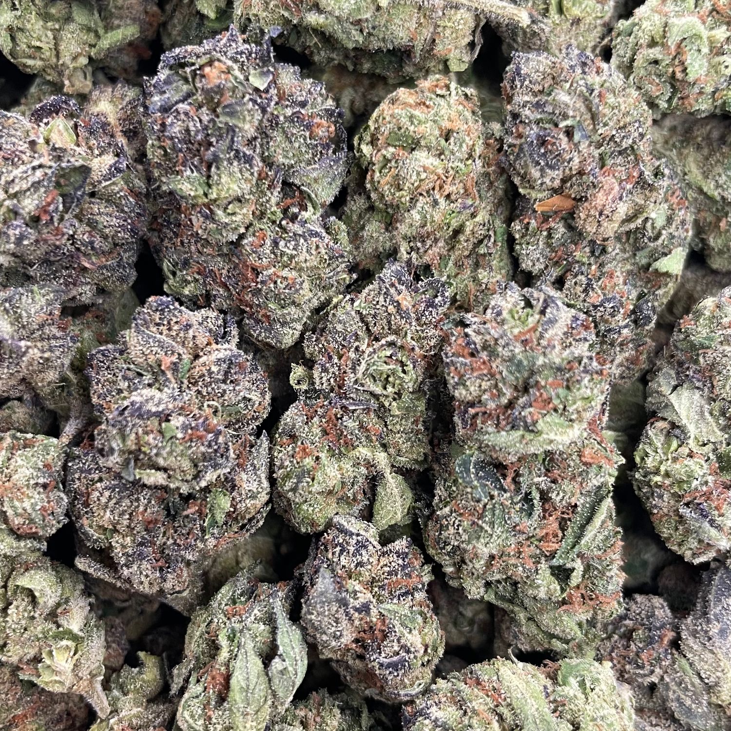 Area 51 (3.5G)