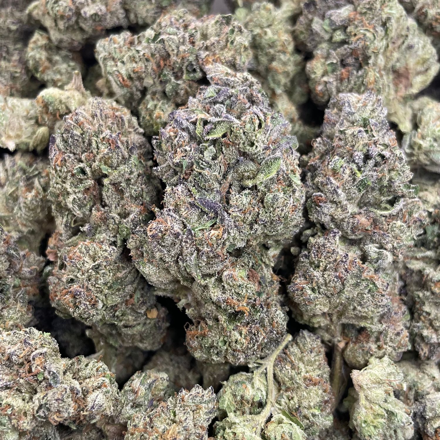 Grande Guava (28G)