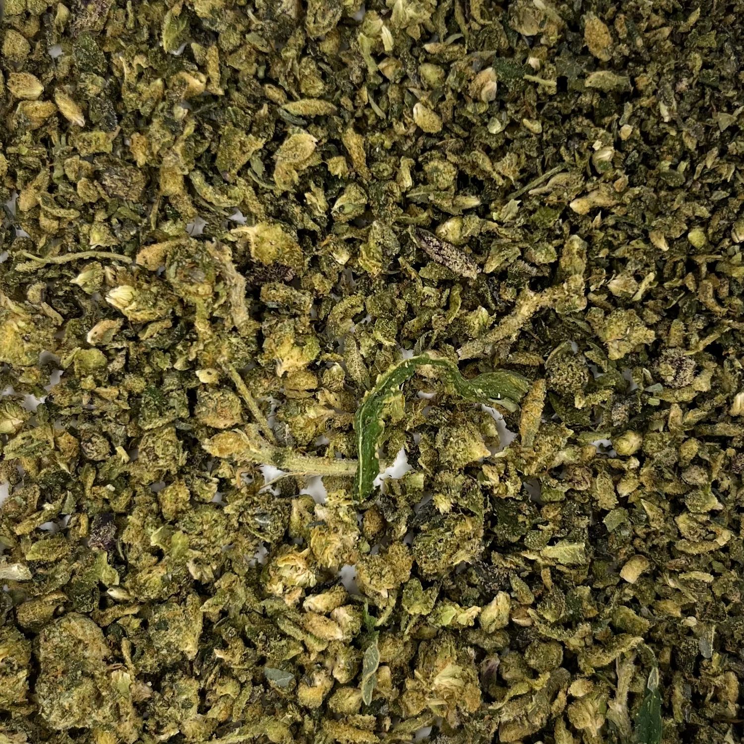Double Runtz Shake (7G)