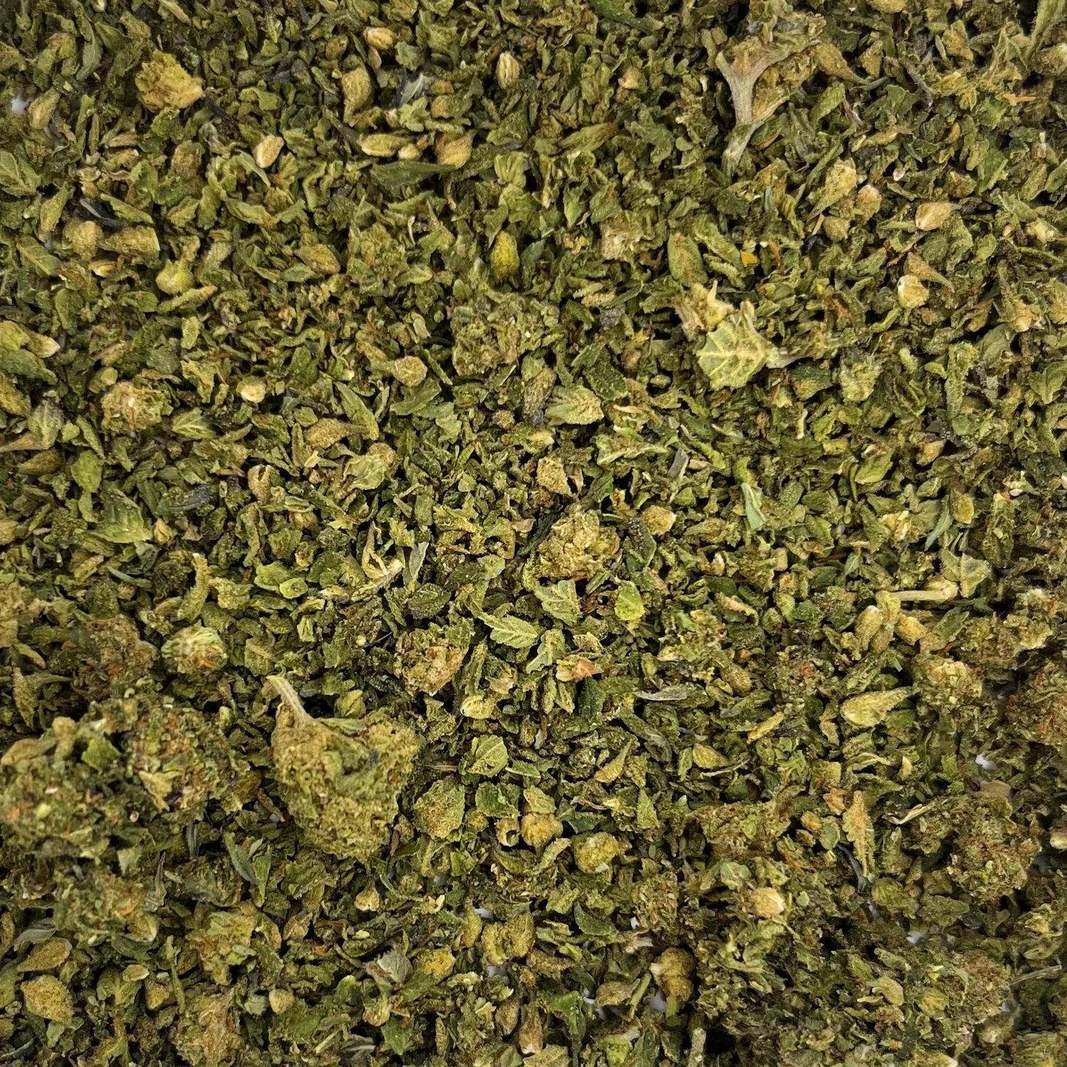 Area 51 Shake (7G)