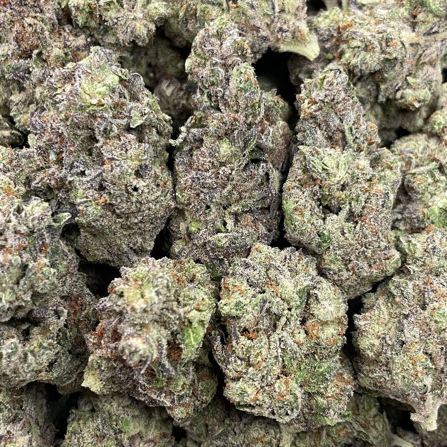 White Truffle (3.5G)