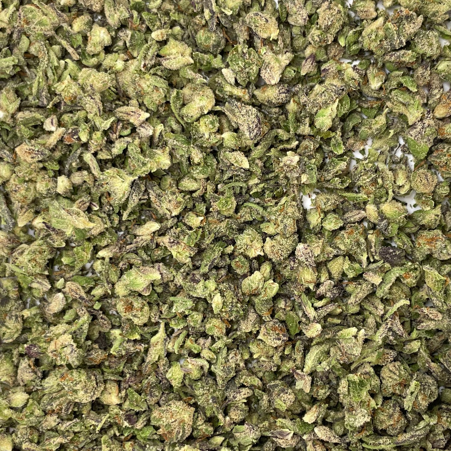 Gary Payton Shake (7G)