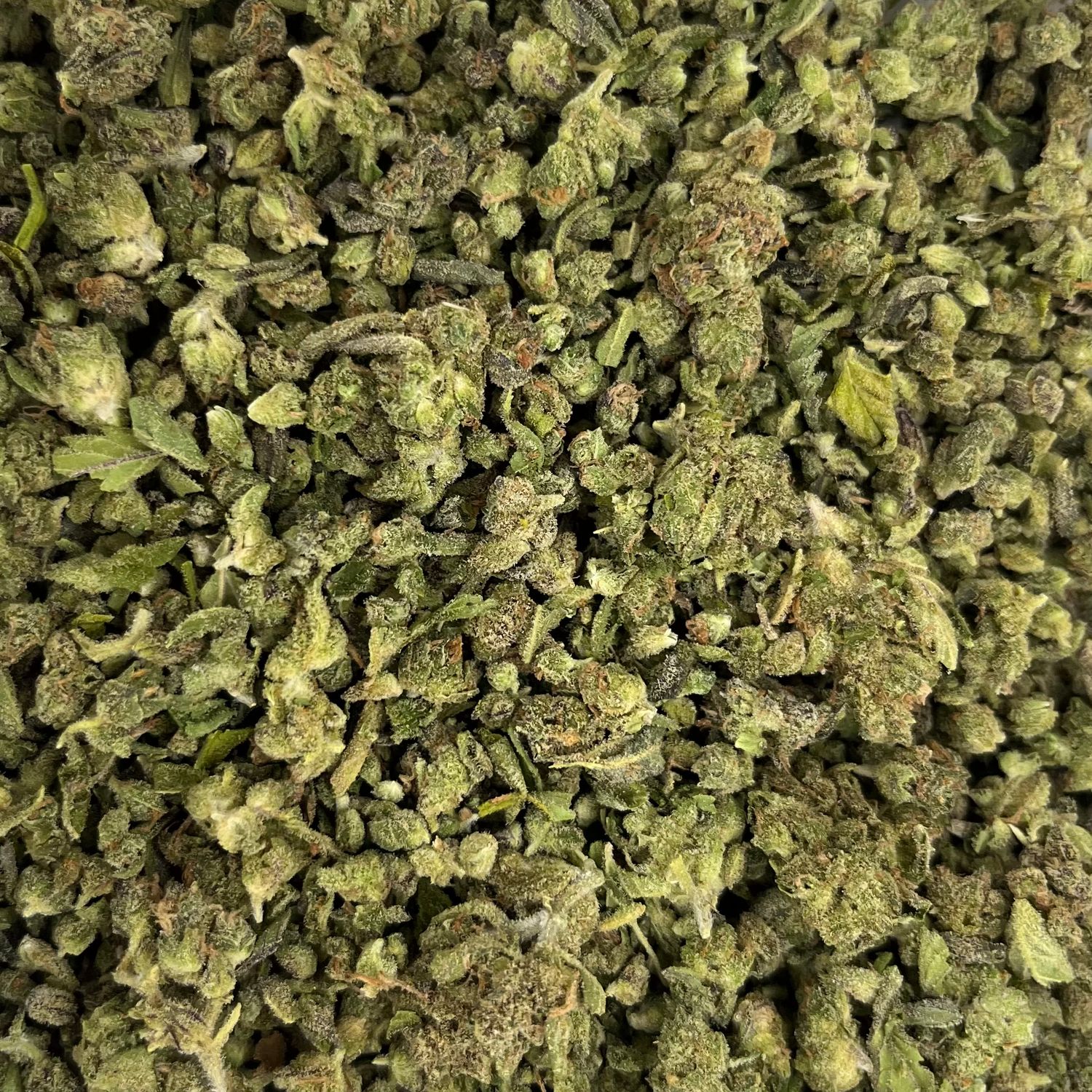 Watermelon Z Shake (7G)