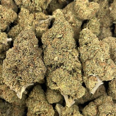 Kush Mintz (28G)