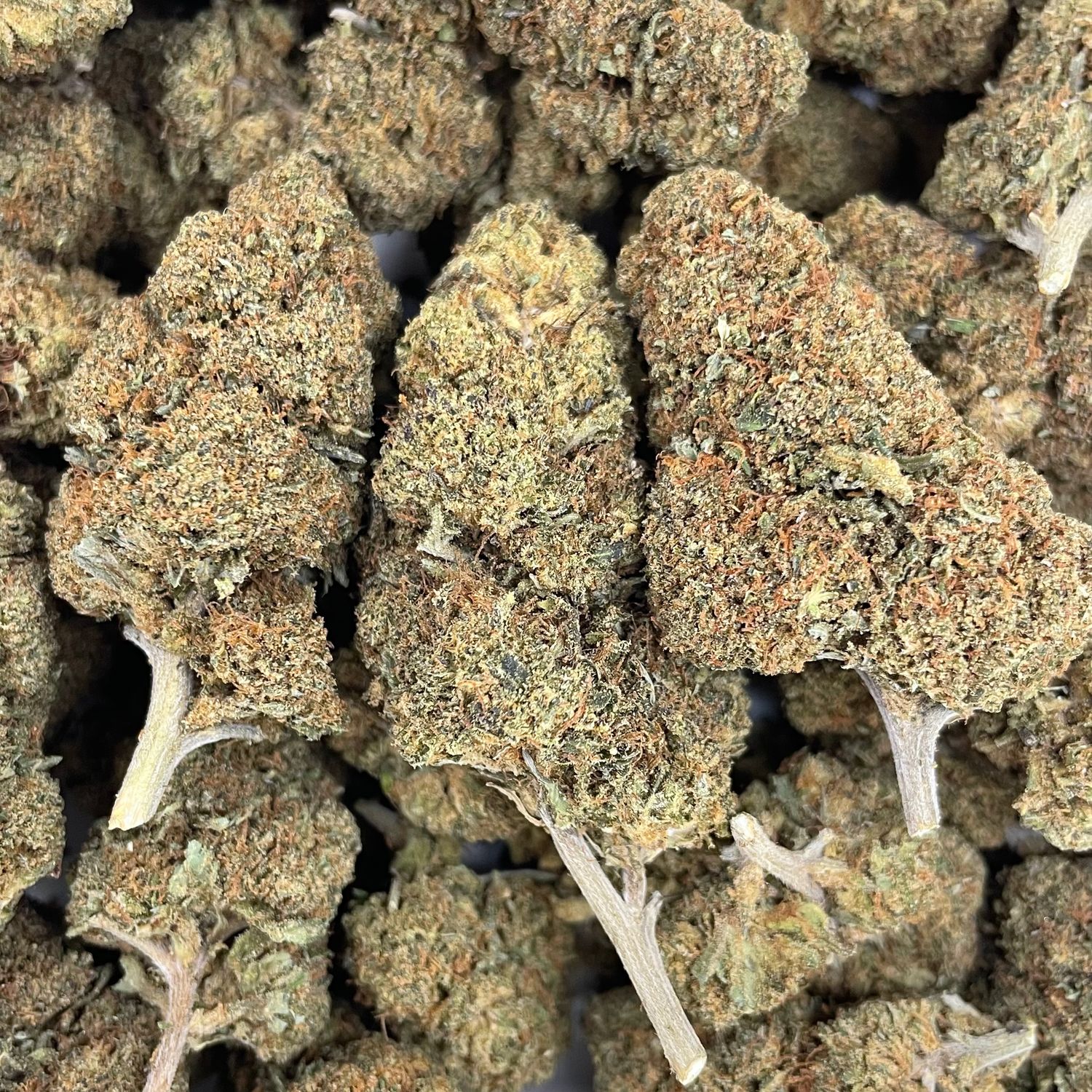 Pure Michigan (28G)