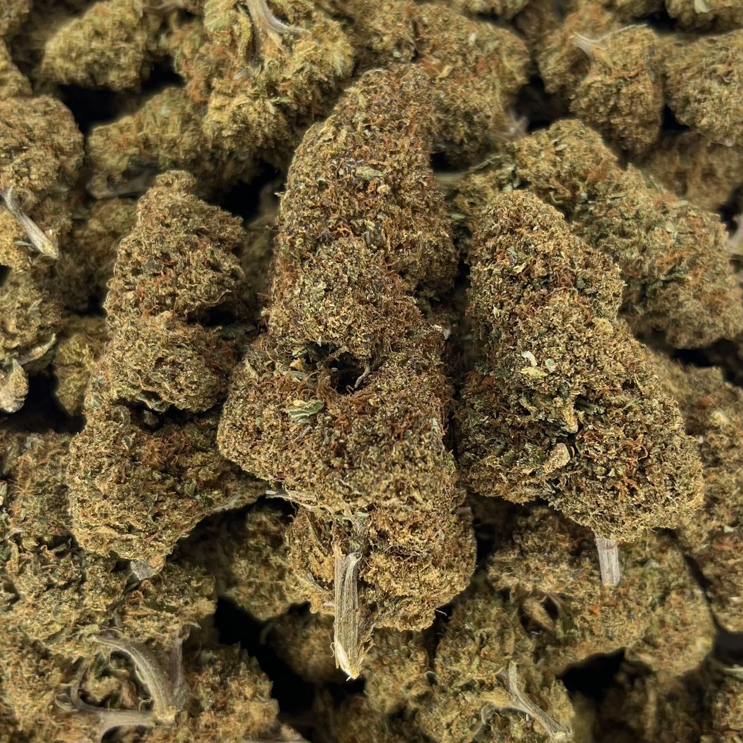 Pure Michigan (3.5G)