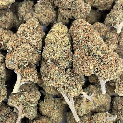 Pure Michigan (3.5G)