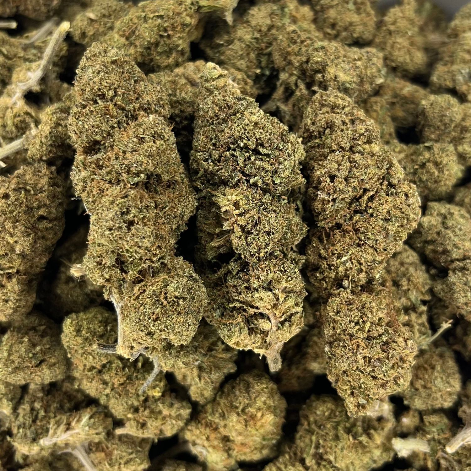 Kush Mintz (3.5G)