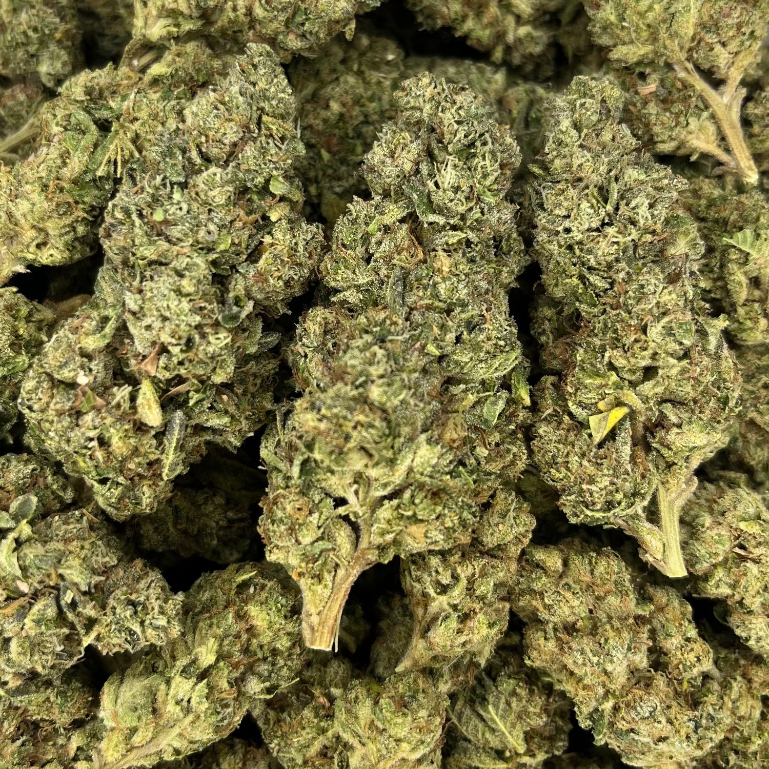 Red Pave (3.5G)
