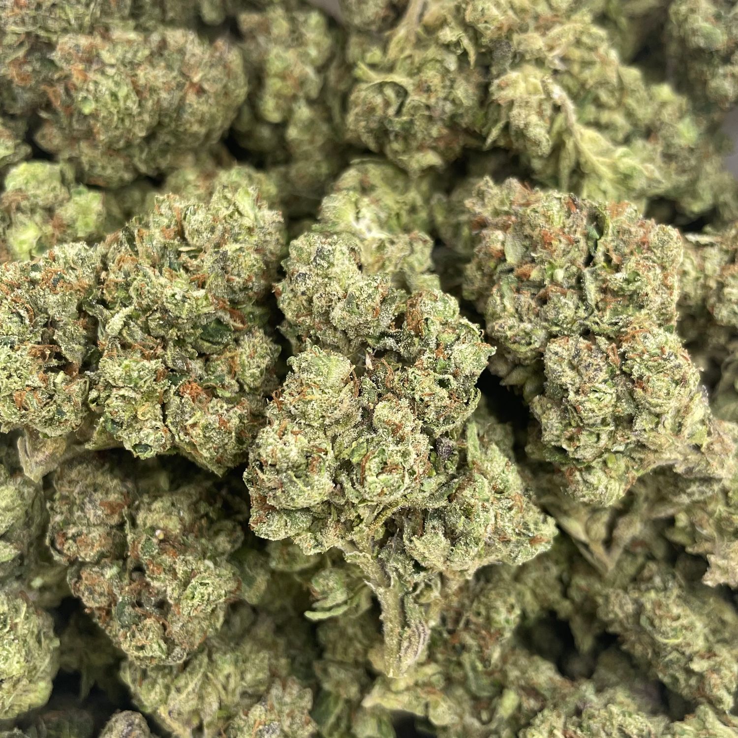 Red Pave (3.5G)