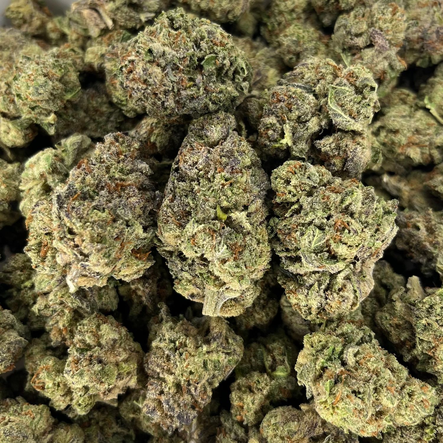 Illuminati (28G)