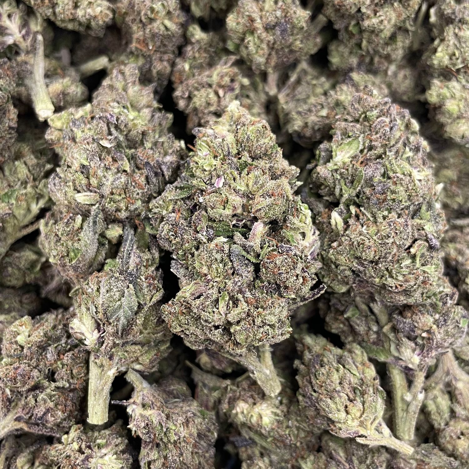 Illuminati (28G)