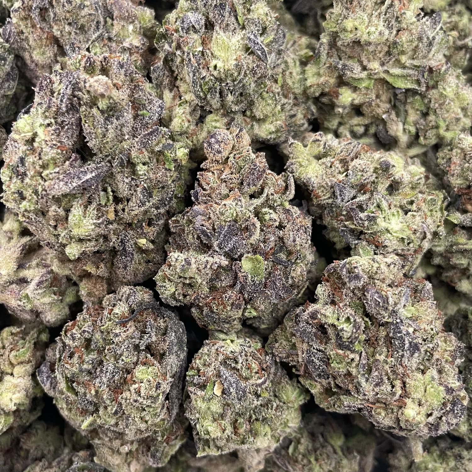 Lizard Burger (3.5G)