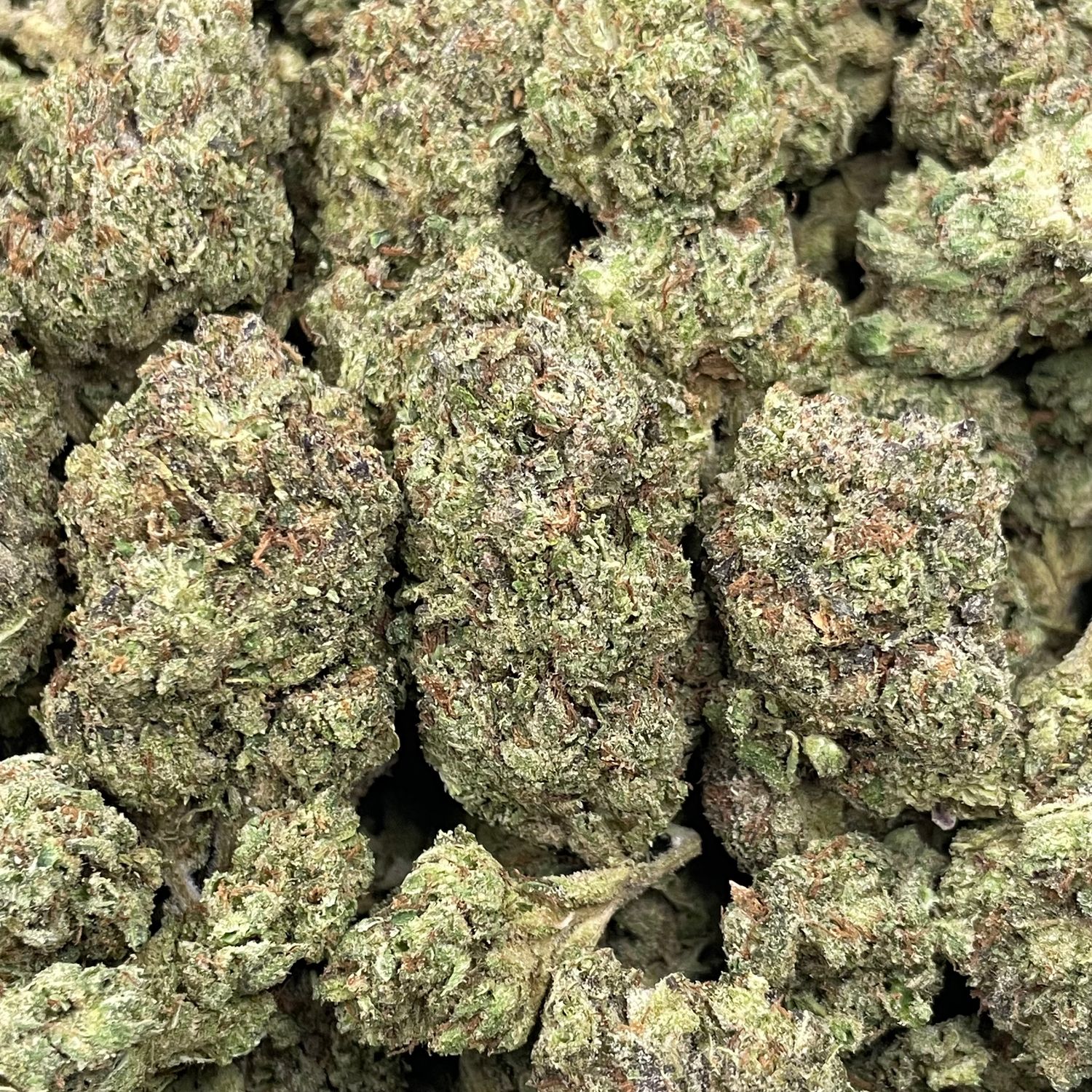 LCG x Runtz (28G)