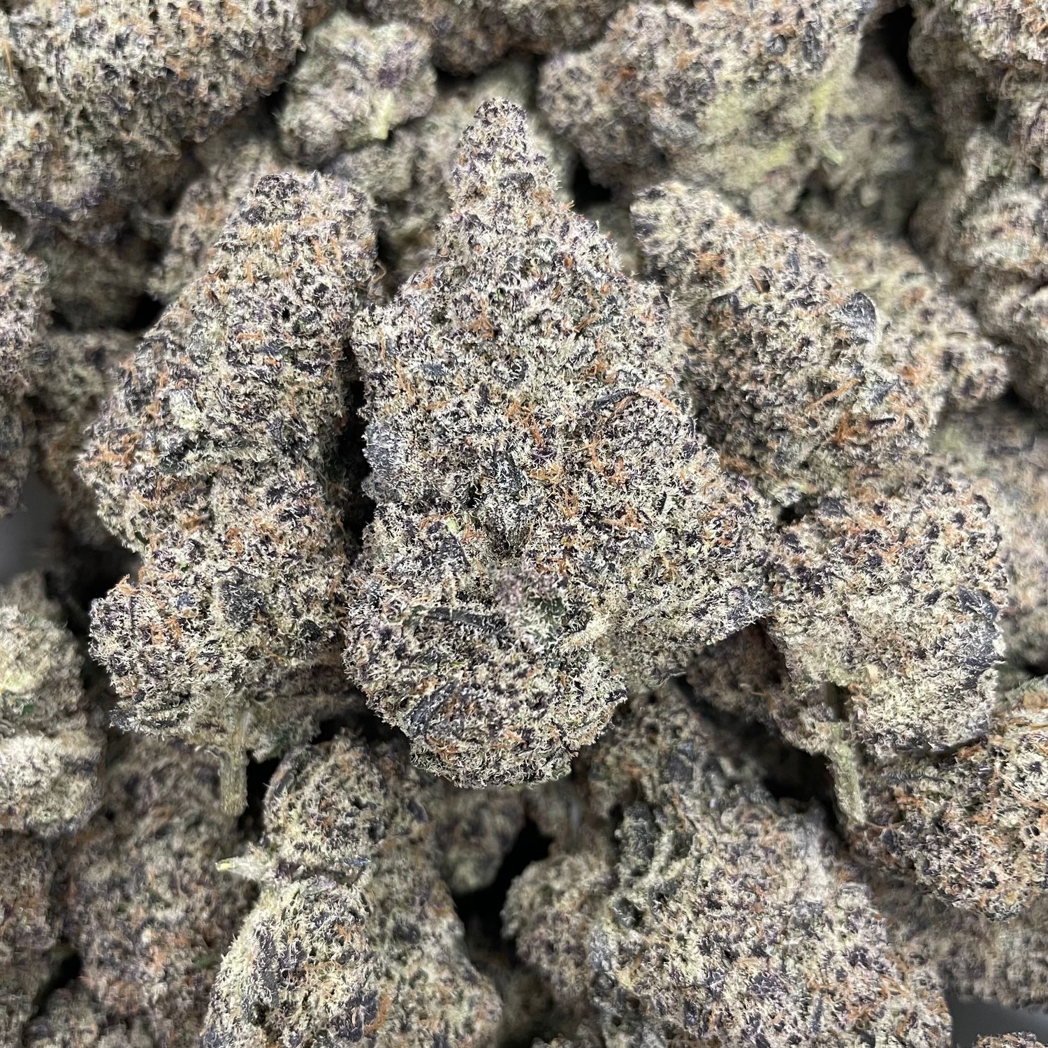 Blueberry Cake (3.5G)