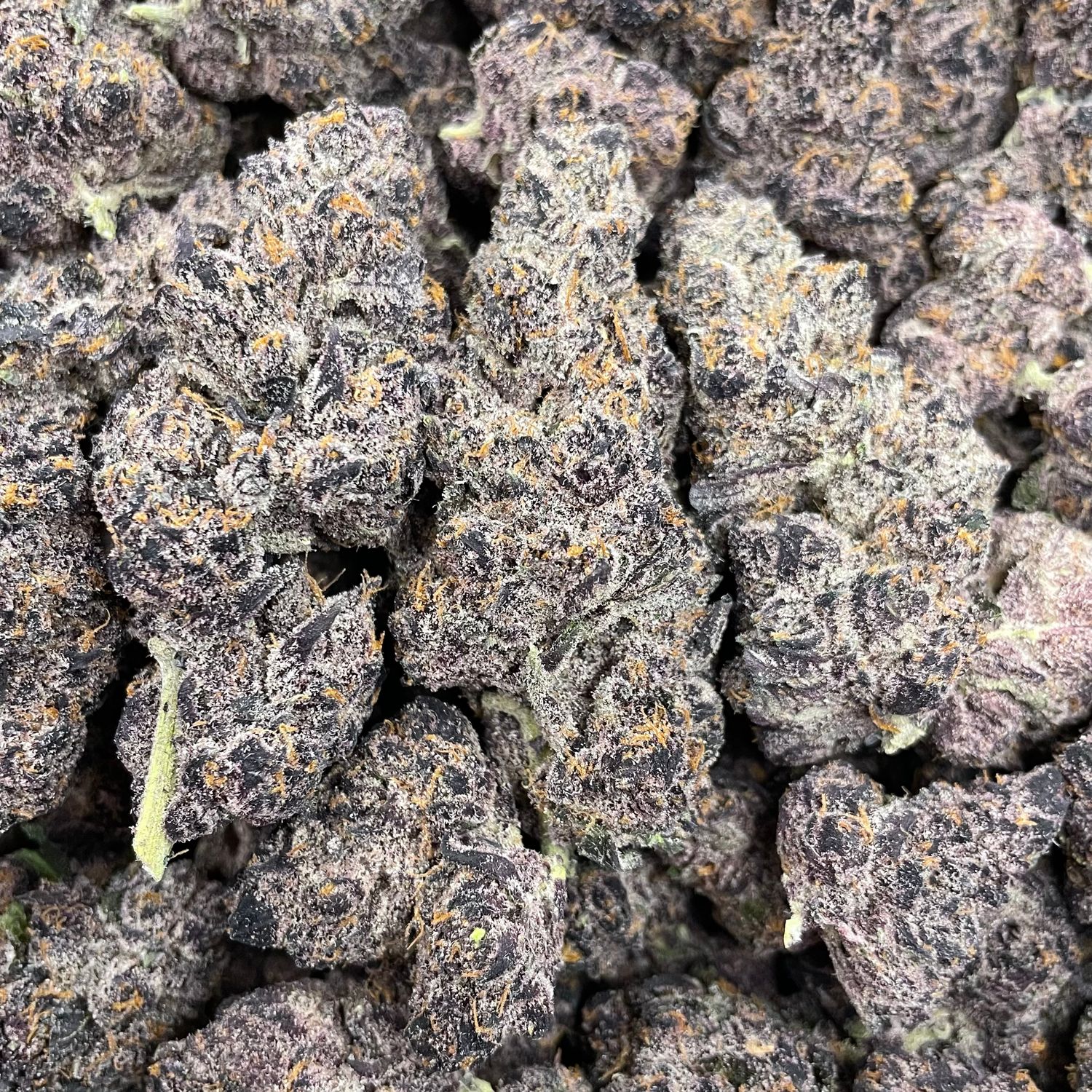 Tropicana Cherries (28G)