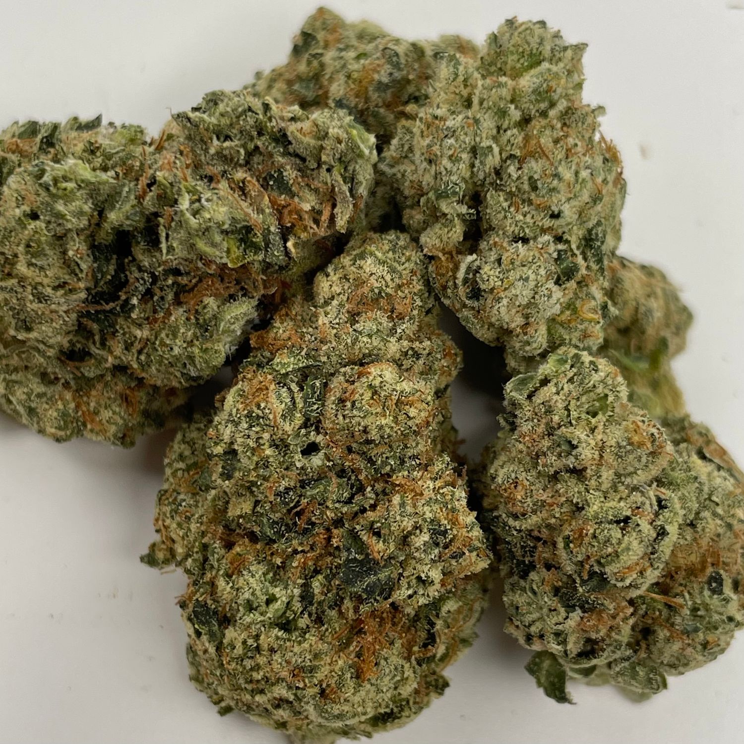Pure Kush - Ravioli (3.5G) - Exotic