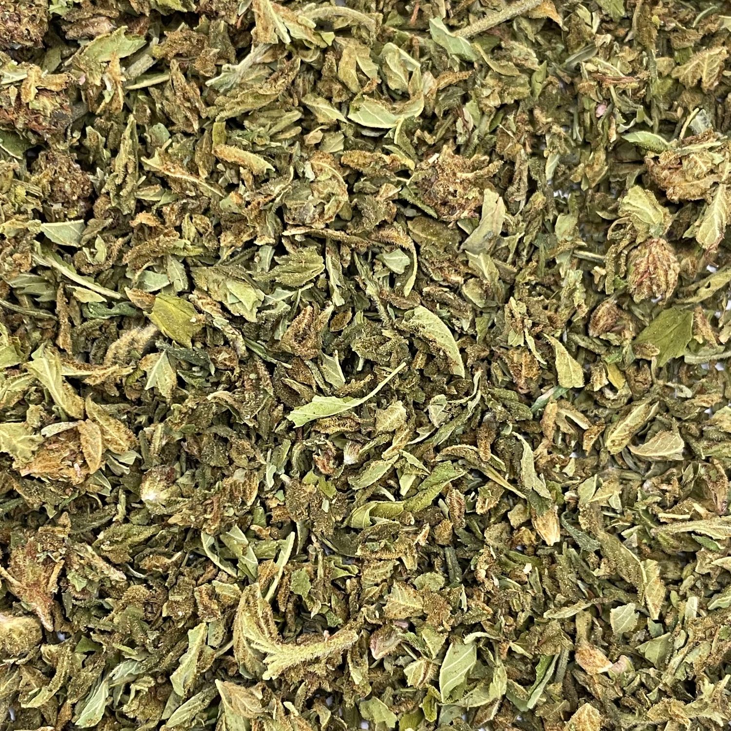 Garlic Piss Shake (7G)