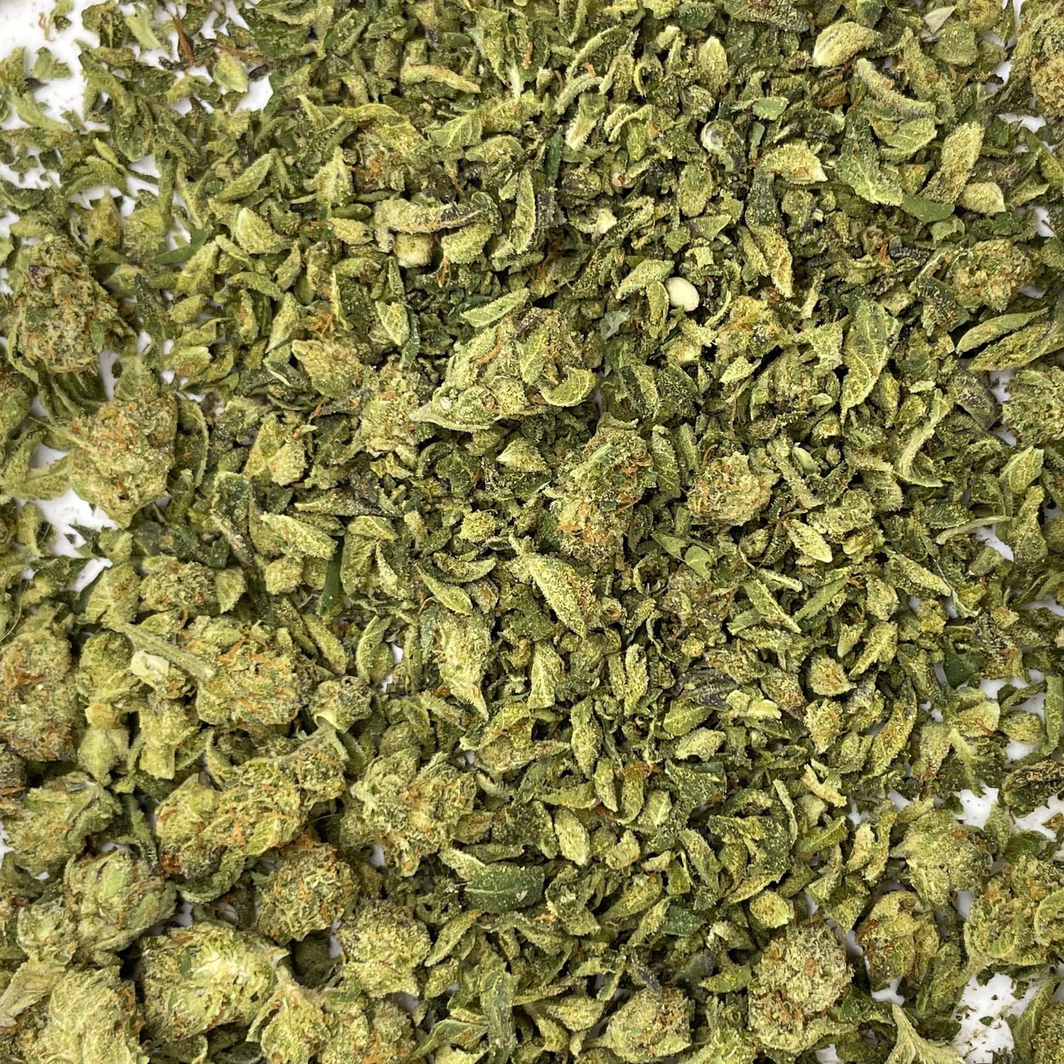 Super Runtz Shake (7G)