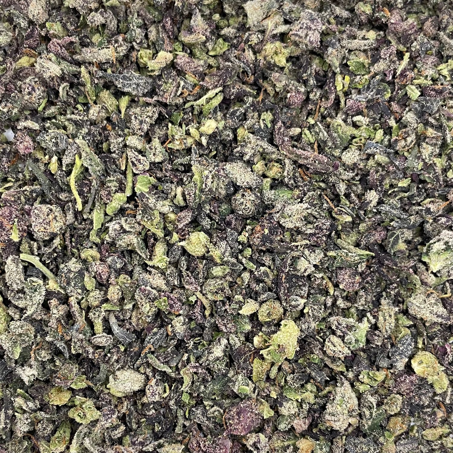 Tropicana Cherries Shake (7G)