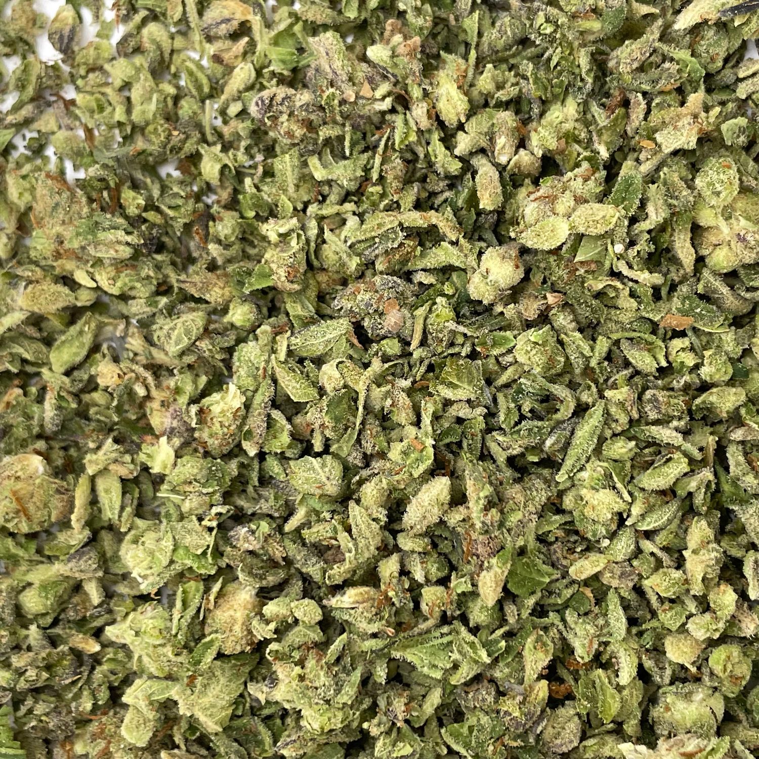 Pink Runtz Shake (7G)