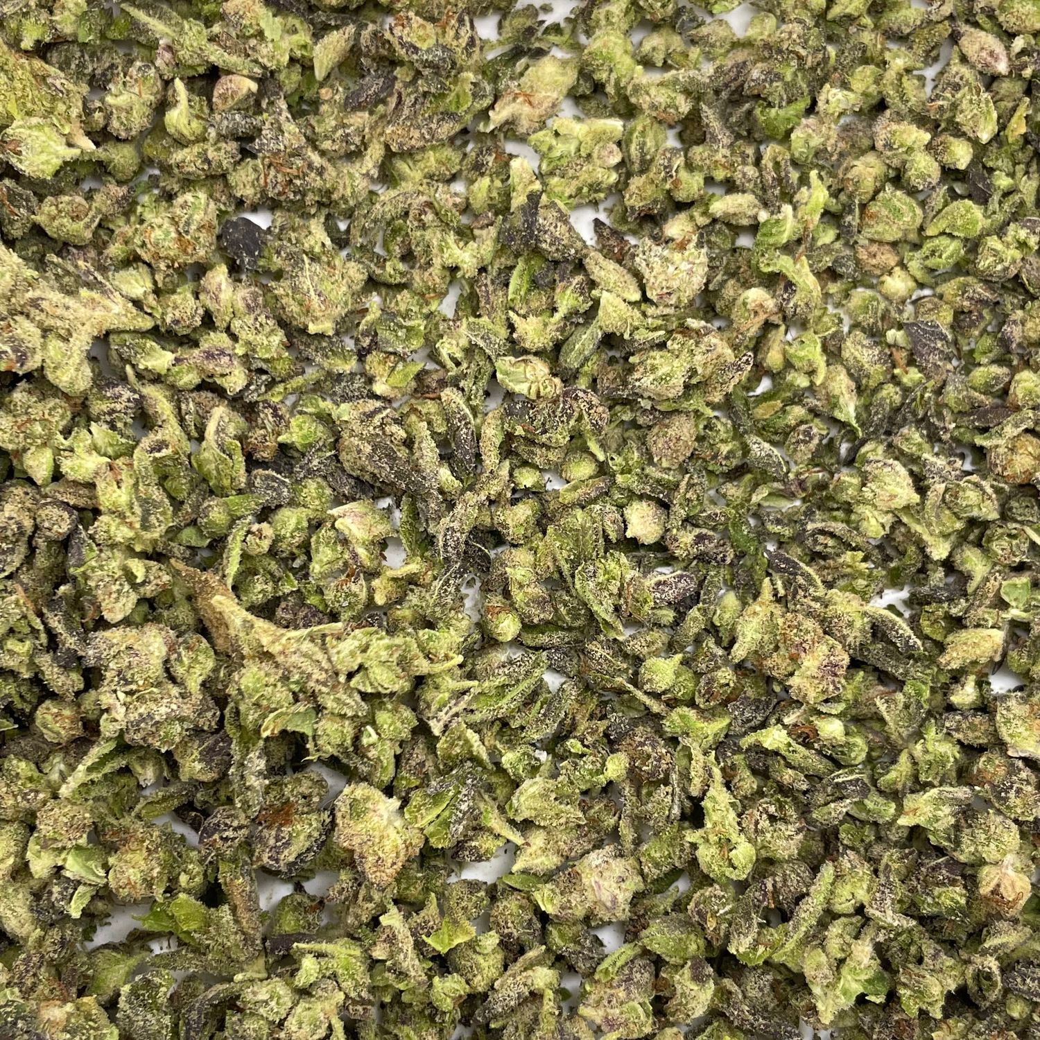 Lizard Burger Shake (7G)