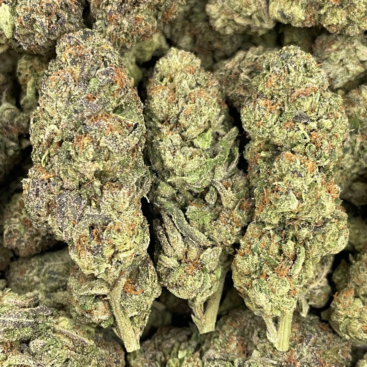 Mochi Gelato (28G)