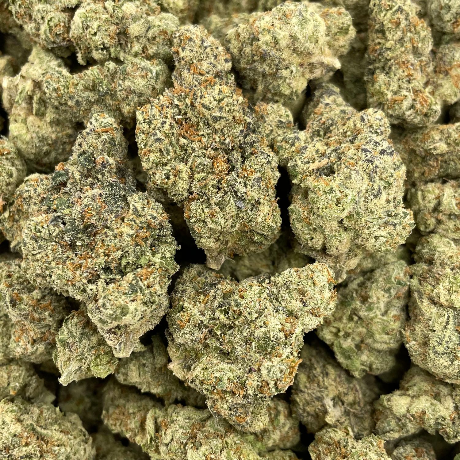 Orange Push Pop (28G)