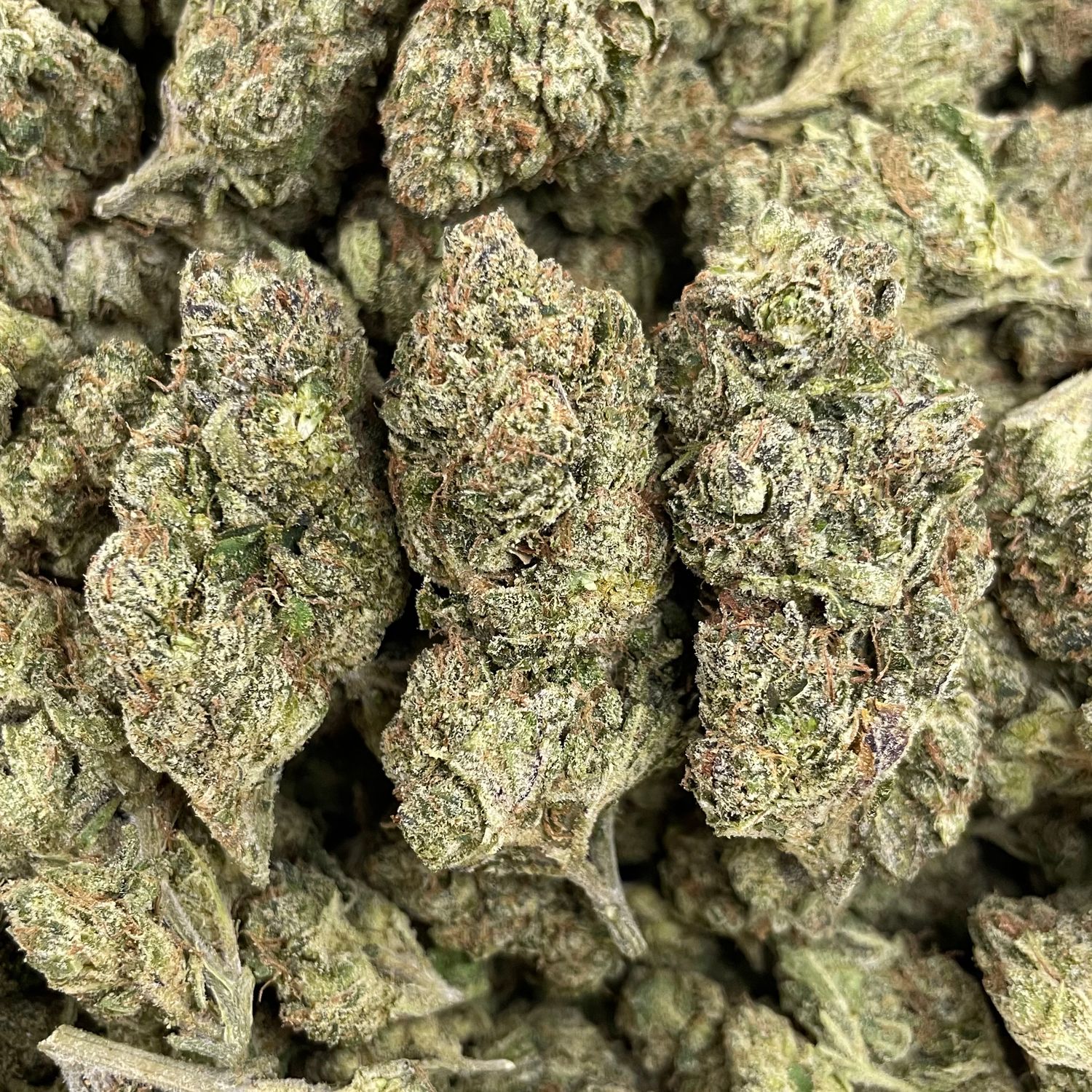 Frosted Cherry Bomb (3.5G)