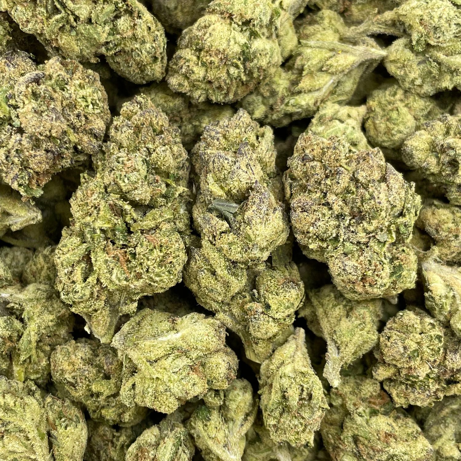 Watermelon Z (3.5G)