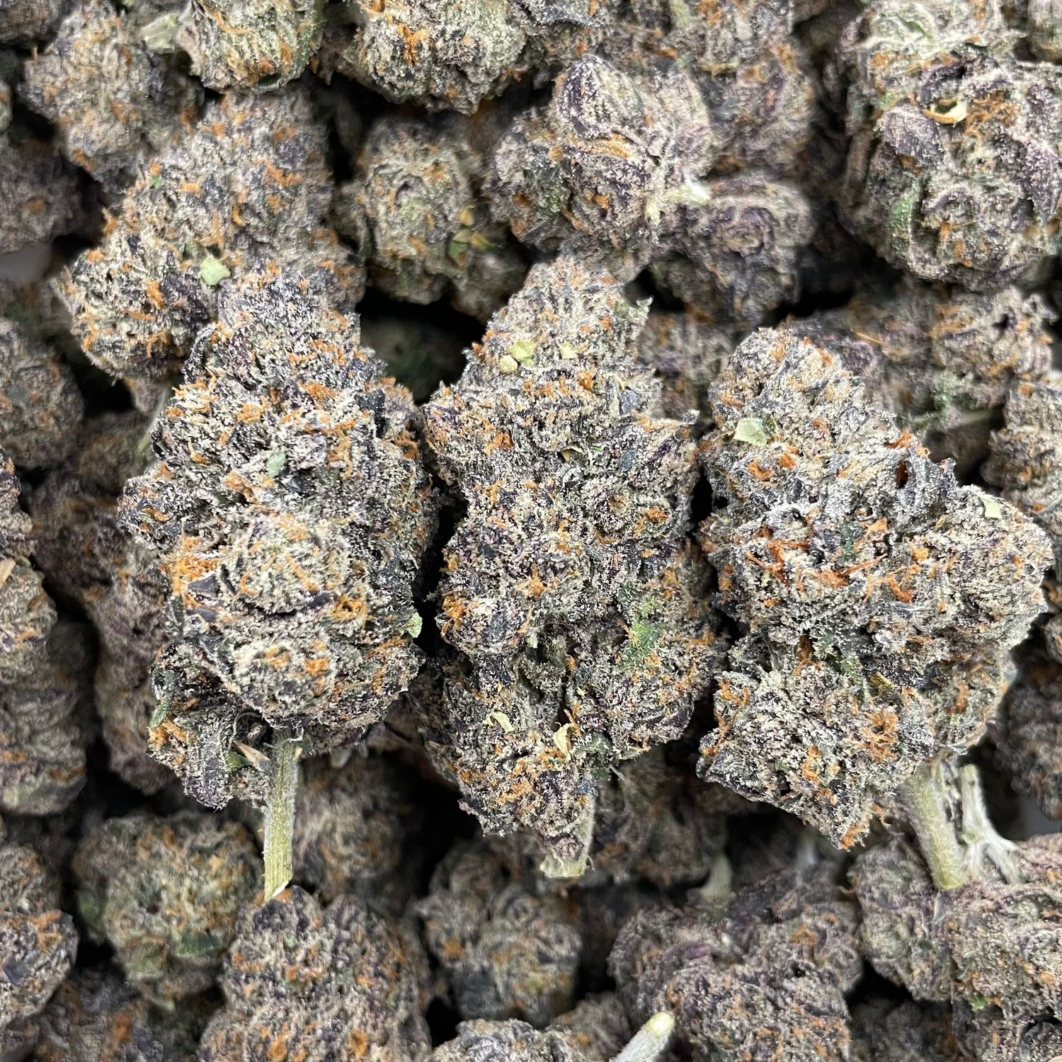 Dirty Laundry (3.5G)