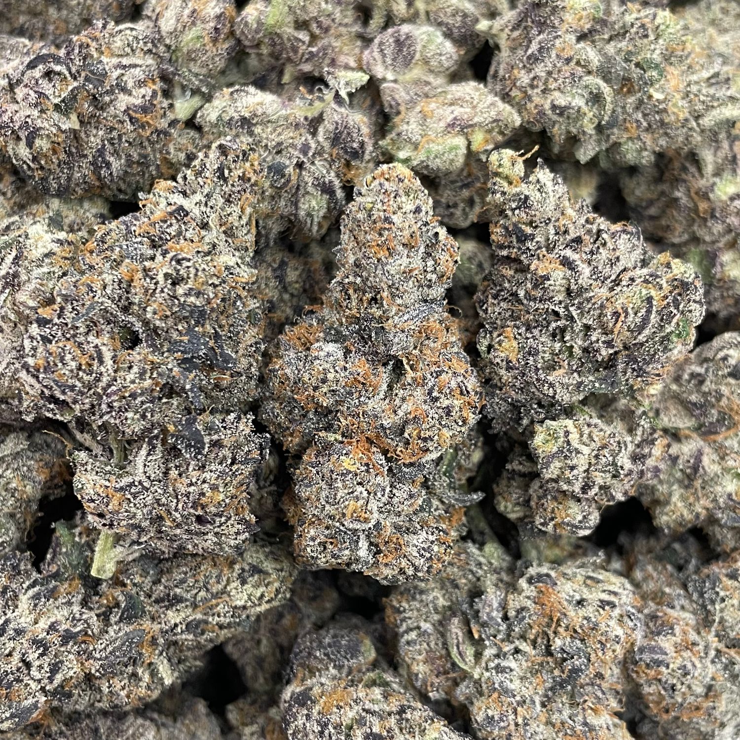 Any Day (28G)