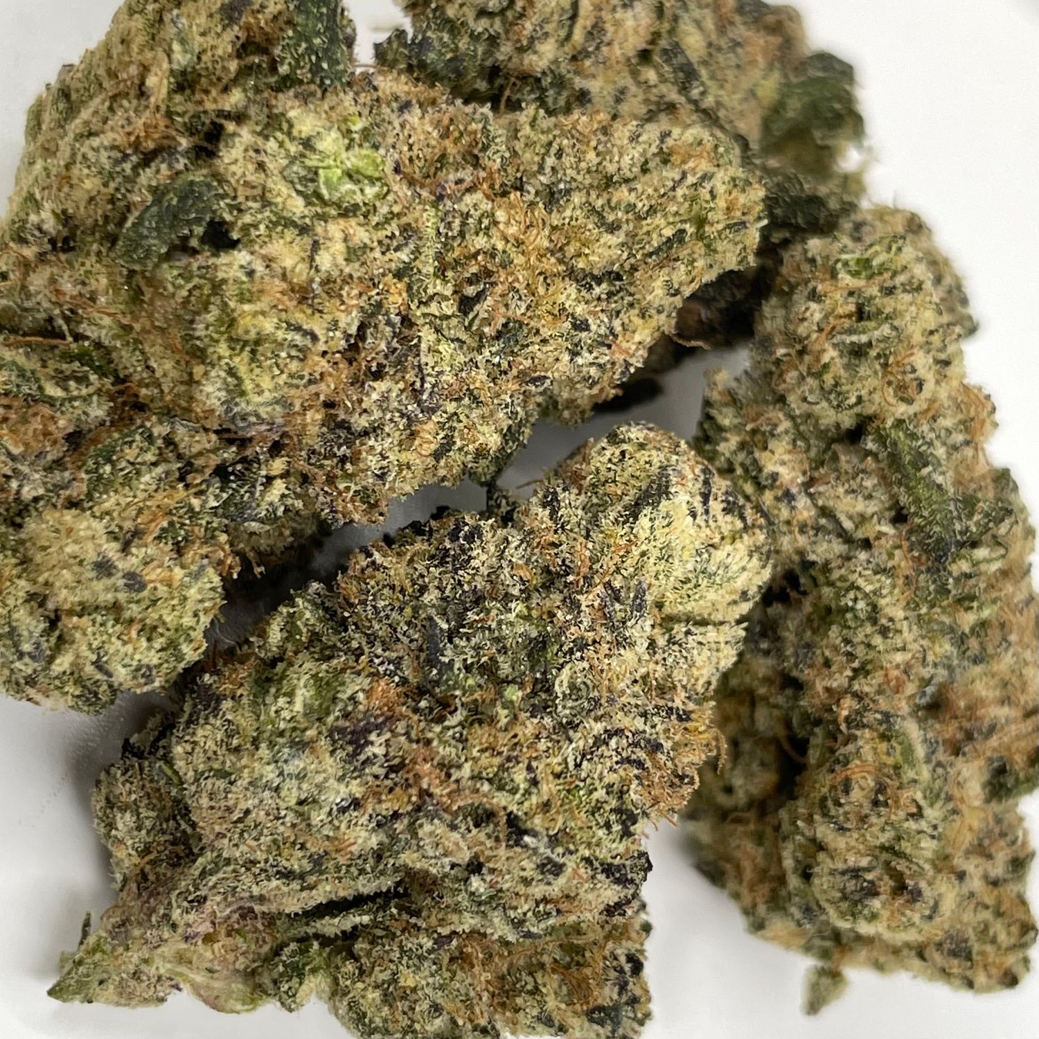 Creme Brûlée - Ravioli (3.5G) - Exotic