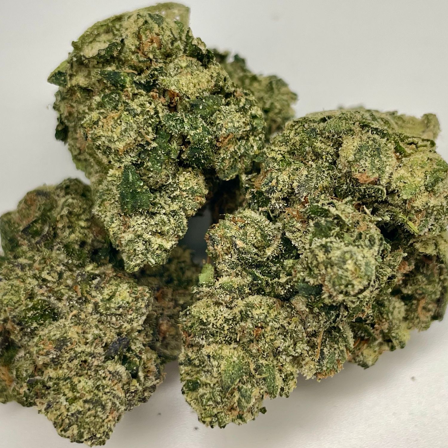Toad Venom - Zadonski x TSG Collab (3.5G Jar) - Exotic Small Batch