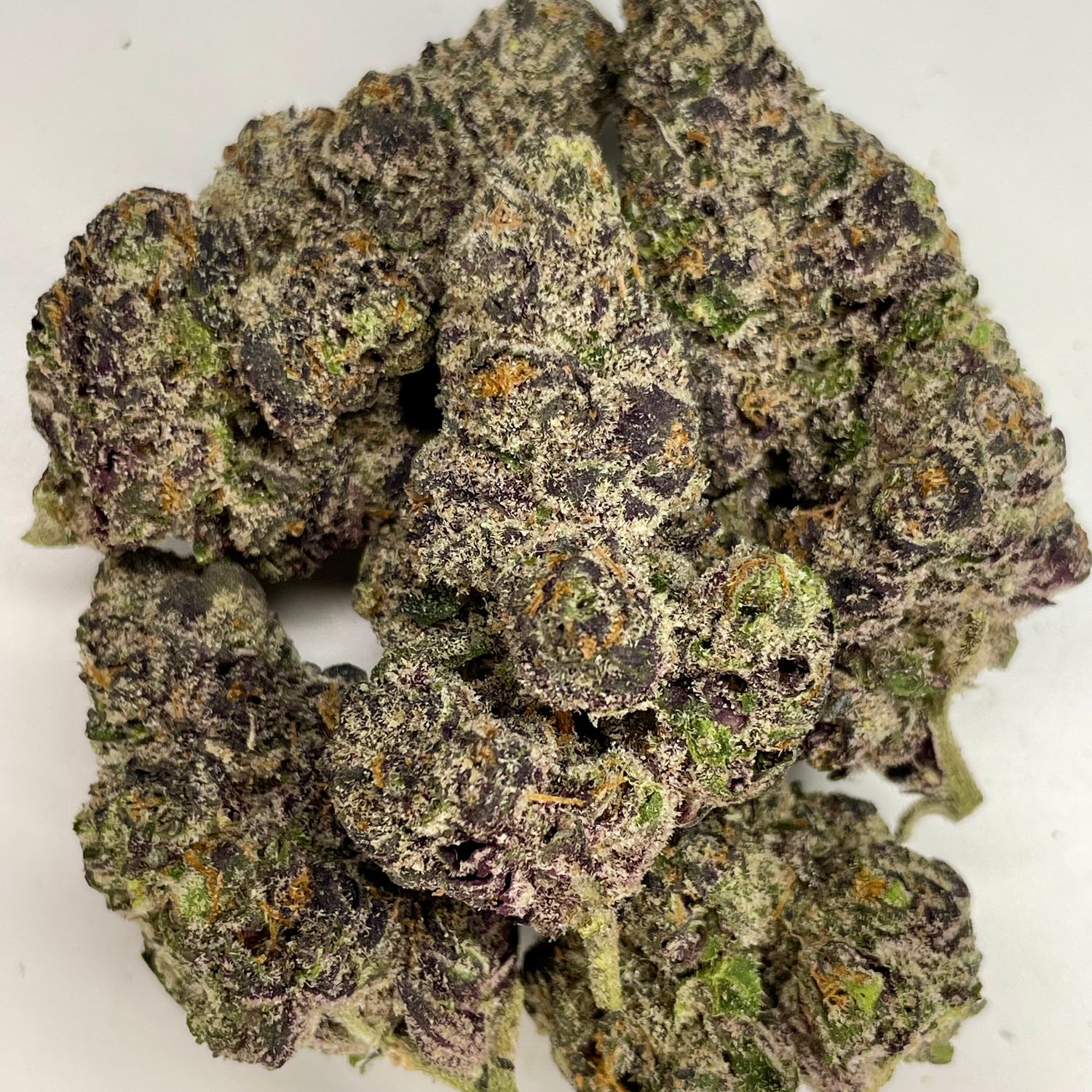 Black Lotus - Zadonski (7G Jar) - Exotic Small Batch