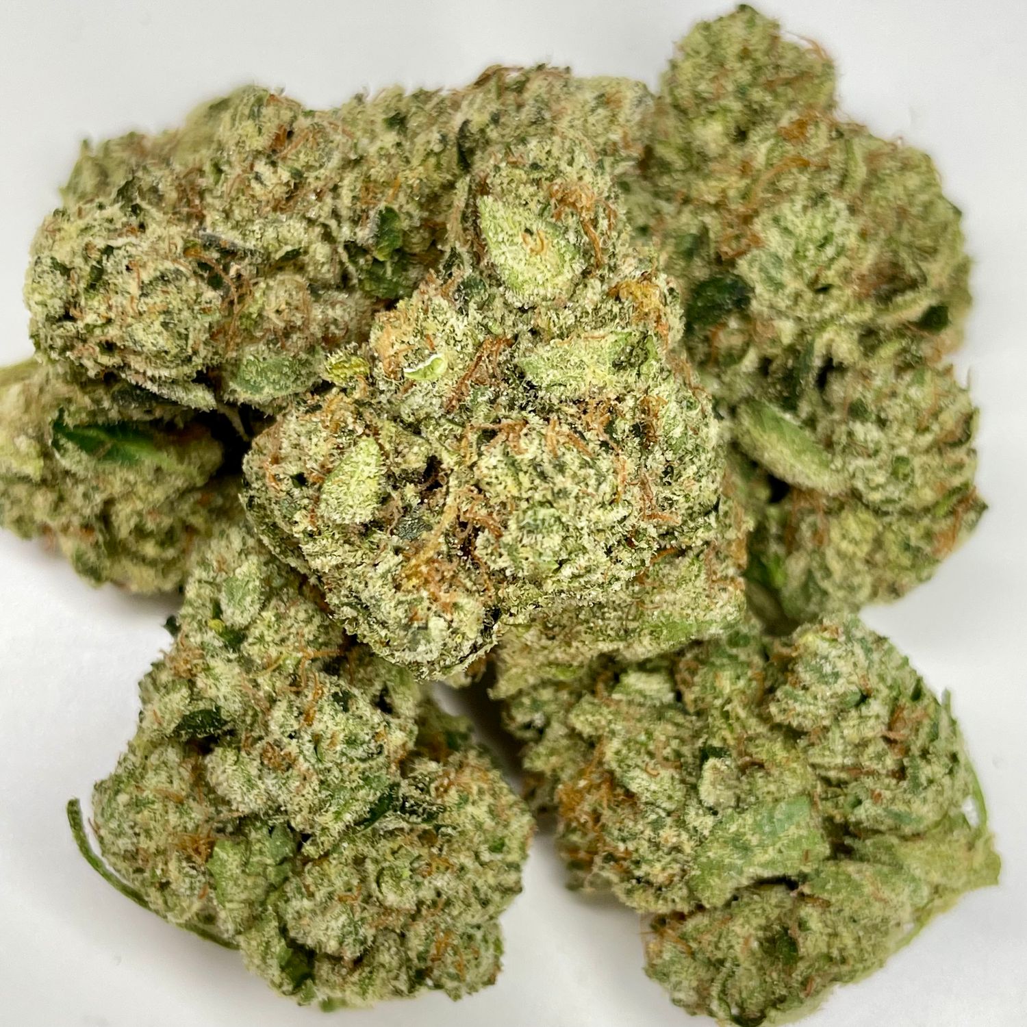 Pure Kush - Zadonski (7G Jar) - Exotic Small Batch