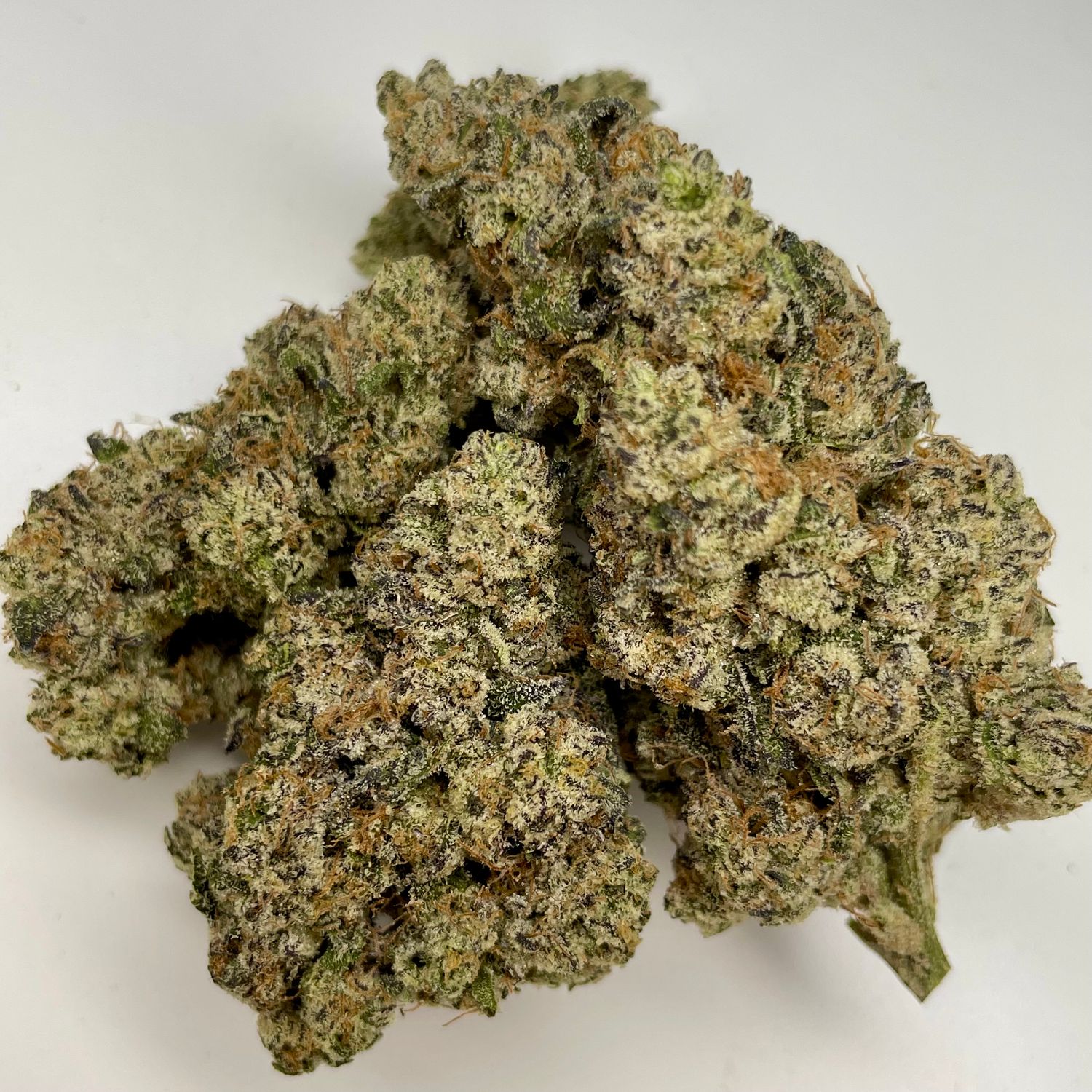 French Lotus - Zadonski (7G) - Exotic Small Batch