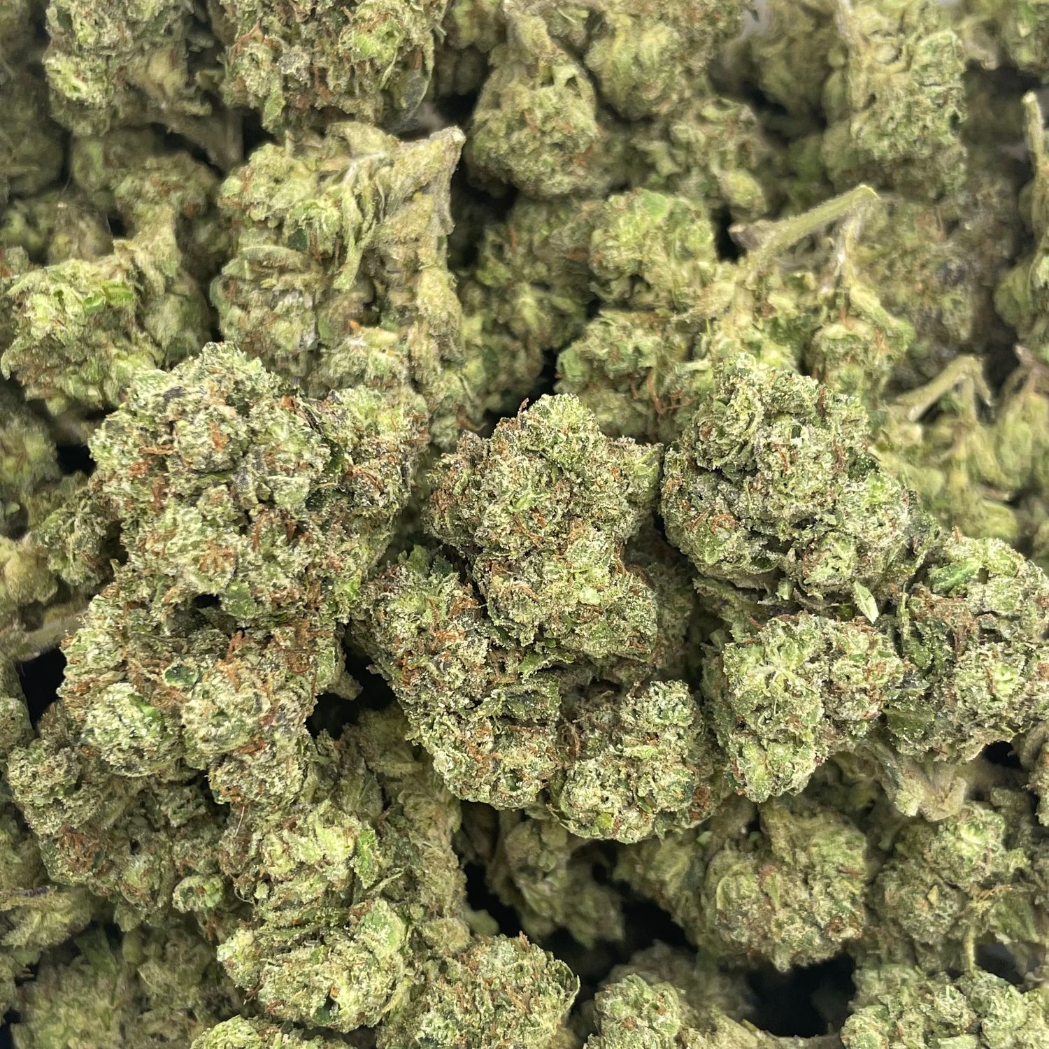 Black Runtz (28G)